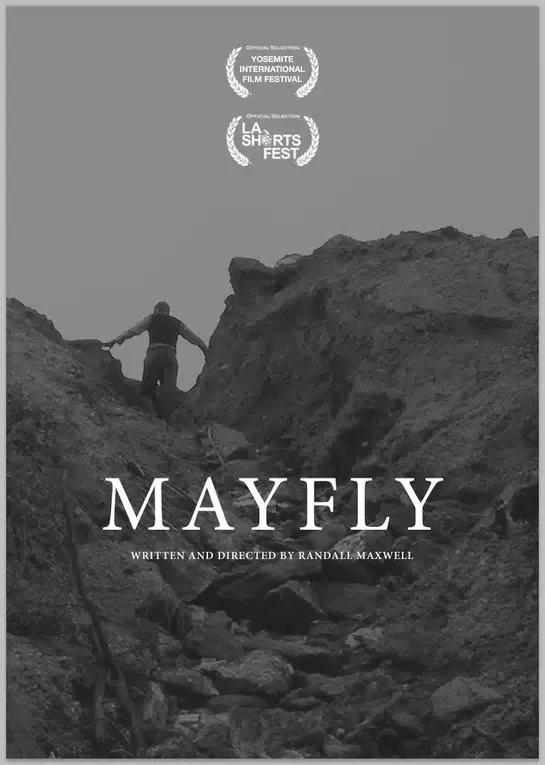 Mayfly