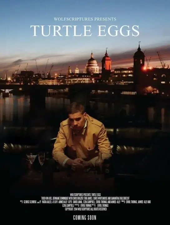 Turtle Eggs