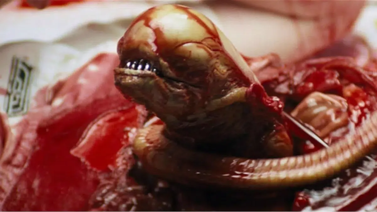 The alien chestbuster